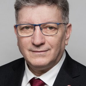 Liviu Marinescu