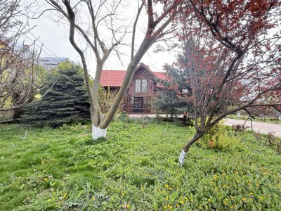 Fundulea, la 300m de acces A2,  casa P+M locuibila, gradina superba !