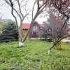 Fundulea, la 300m de acces A2,  casa P+M locuibila, gradina superba ! thumb 1