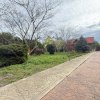 Fundulea, la 300m de acces A2,  casa P+M locuibila, gradina superba ! thumb 5