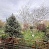 Fundulea, la 300m de acces A2,  casa P+M locuibila, gradina superba ! thumb 27