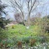 Fundulea, la 300m de acces A2,  casa P+M locuibila, gradina superba ! thumb 37