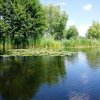 TEREN 1500 MP CU DESCHIDERE LA PADURE SI LAC IMPREJMUIT CU GARD IN ZONA SNAGOV thumb 4