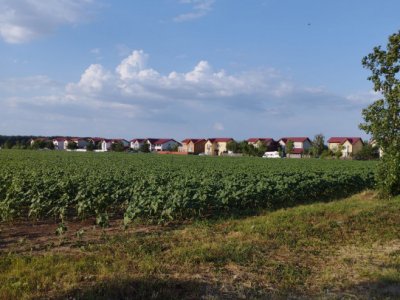 SE VINDE TEREN 5000 MP INTRAVILAN, MIXT IN ZONA BALOTESTI SPRE AUTOSTRADA A3  