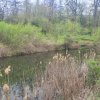 SUPER  OCAZIE TEREN 4000MP DE VANZARE IN SNAGOV CU DESCHIDERE LA LACUL SNAGOV thumb 3