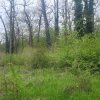 SUPER  OCAZIE TEREN 4000MP DE VANZARE IN SNAGOV CU DESCHIDERE LA LACUL SNAGOV thumb 4