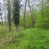 SUPER  OCAZIE TEREN 4000MP DE VANZARE IN SNAGOV CU DESCHIDERE LA LACUL SNAGOV thumb 6