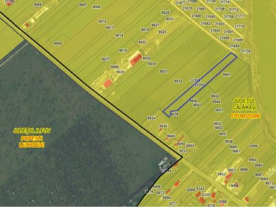 FRUMUSANI-ORASTI, LOT 7630 MP!