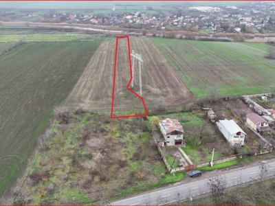 FRUMUSANI-ORASTI, LOT 7630 MP!