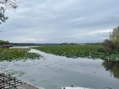 SE VINDE VILA CU DESCHIDERE LA LACUL SNAGOV LA CEL MAI MIC PRET