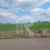 Teren 33.637 mp cu deschidere 88 m la Centura, zonă mixtă – Popești-Leordeni thumb 1