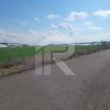 Teren 33.637 mp cu deschidere 88 m la Centura, zonă mixtă – Popești-Leordeni thumb 2
