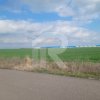 Teren 33.637 mp cu deschidere 88 m la Centura, zonă mixtă – Popești-Leordeni thumb 3