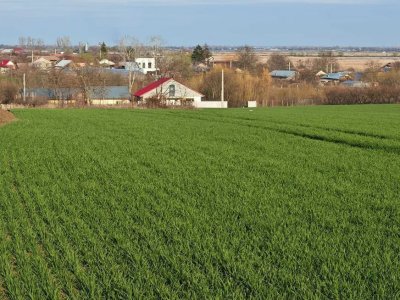 Vând loturi de 527 si 635 mp lângă Delta Neajlovului la cel mai bun preț 