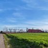 Vând loturi de 527 si 635 mp lângă Delta Neajlovului la cel mai bun preț  thumb 4