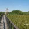 Vând loturi de 527 si 635 mp lângă Delta Neajlovului la cel mai bun preț  thumb 7