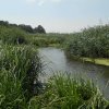 Vând loturi de 527 si 635 mp lângă Delta Neajlovului la cel mai bun preț  thumb 8
