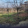 Teren intravilan 609 mp Vidra, deschidere 24 m, ideal pentru construcție thumb 3