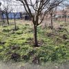 Teren intravilan 609 mp Vidra, deschidere 24 m, ideal pentru construcție thumb 4