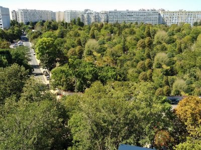 DRISTOR-PARK LAKE, 3 CAMERE, CENTRALA BLOC!