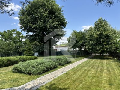 JOITA Lot 500 MP 