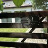 JOITA Lot 500 MP  thumb 2