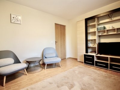 RAMURI TEI-KAUFLAND - GARSONIERA MODERNA - DECOMANDATA!