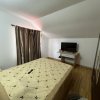 exclusivitate! Vila moderna P+M, 4 camere, Valu lui Traian! thumb 9