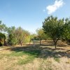 Casa de familie in Saftica thumb 32