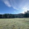 Vanzare 6850 mp pasune langa Manastirea Doroteia - Frasin /Plutonita thumb 5