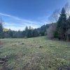 Vanzare 6850 mp pasune langa Manastirea Doroteia - Frasin /Plutonita thumb 22