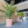 DIRECT DEZVOLTATOR - Mamaia Nord - Vânzare apartament 2 camere finisat. thumb 16