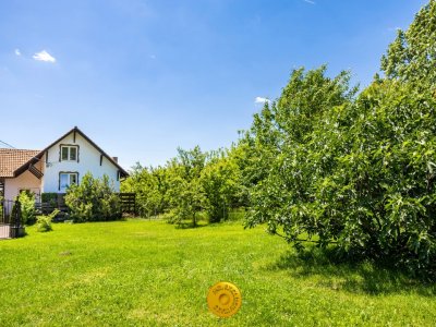 OCAZIE UNICA  Doua case pe malul lacului, intr o curte comuna   Budeasa Mare