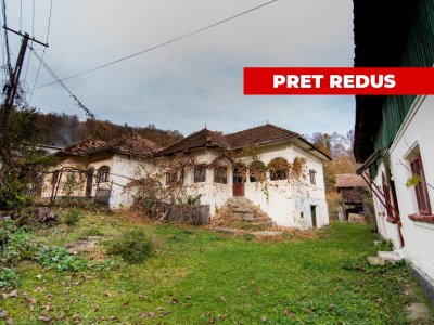 Gospodarie traditionala in loc. Vulturesti-15 km de Mioveni. Comision 0%