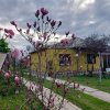 Casa pe parter cu teren generos - Topoloveni, Argeș thumb 2