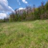 Casa primitoare de închiriat in Valea Ursului-spațiu, natura si liniște thumb 11