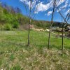 Casa primitoare de închiriat in Valea Ursului-spațiu, natura si liniște thumb 12
