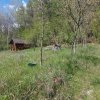 Casa primitoare de închiriat in Valea Ursului-spațiu, natura si liniște thumb 15