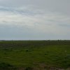 Teren extravilan de vânzare – Căteasca, Argeș | 27.201 mp | Deschidere 58,55 m thumb 2