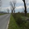 Teren extravilan de vânzare – Căteasca, Argeș | 27.201 mp | Deschidere 58,55 m thumb 3