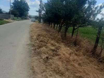 0% COMISION - TEREN GENEROS 5000 MP  GOLESTI - ARGES