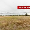 Teren intravilan 3000 mp, Oarja, Arges – amplasament excelent thumb 2