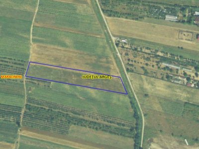 Teren Intravilan Maracineni 7545 mp