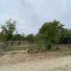Teren 3000mp intravilan in Mavrodolu, AG thumb 2