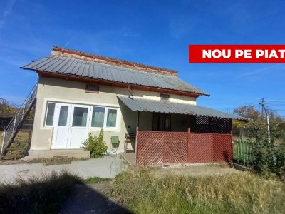 0% COMISION!!! CASA CU LAC IN INIMA PADURII  - DEALU BRADULUI