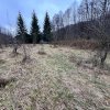 Teren intravilan 6.500 m²–Deschidere 144 ml drum european E81, km 35, Morăresti thumb 1