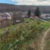 Teren intravilan de 1665 mp cu priveliste spre padure – Mioveni, zona Faget imaginea mica 8 Teren intravilan de 1665 mp cu priveliste spre padure – Mioveni, zona Faget thumb 8