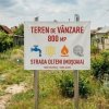 Teren 800 mp intravilan str. Olteni, Mosoaia, Arges thumb 1