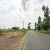 Teren Cernica,pentru Dezvoltare Rezidențială sau Industriala  thumb 16