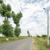 Teren Cernica,pentru Dezvoltare Rezidențială sau Industriala  thumb 17